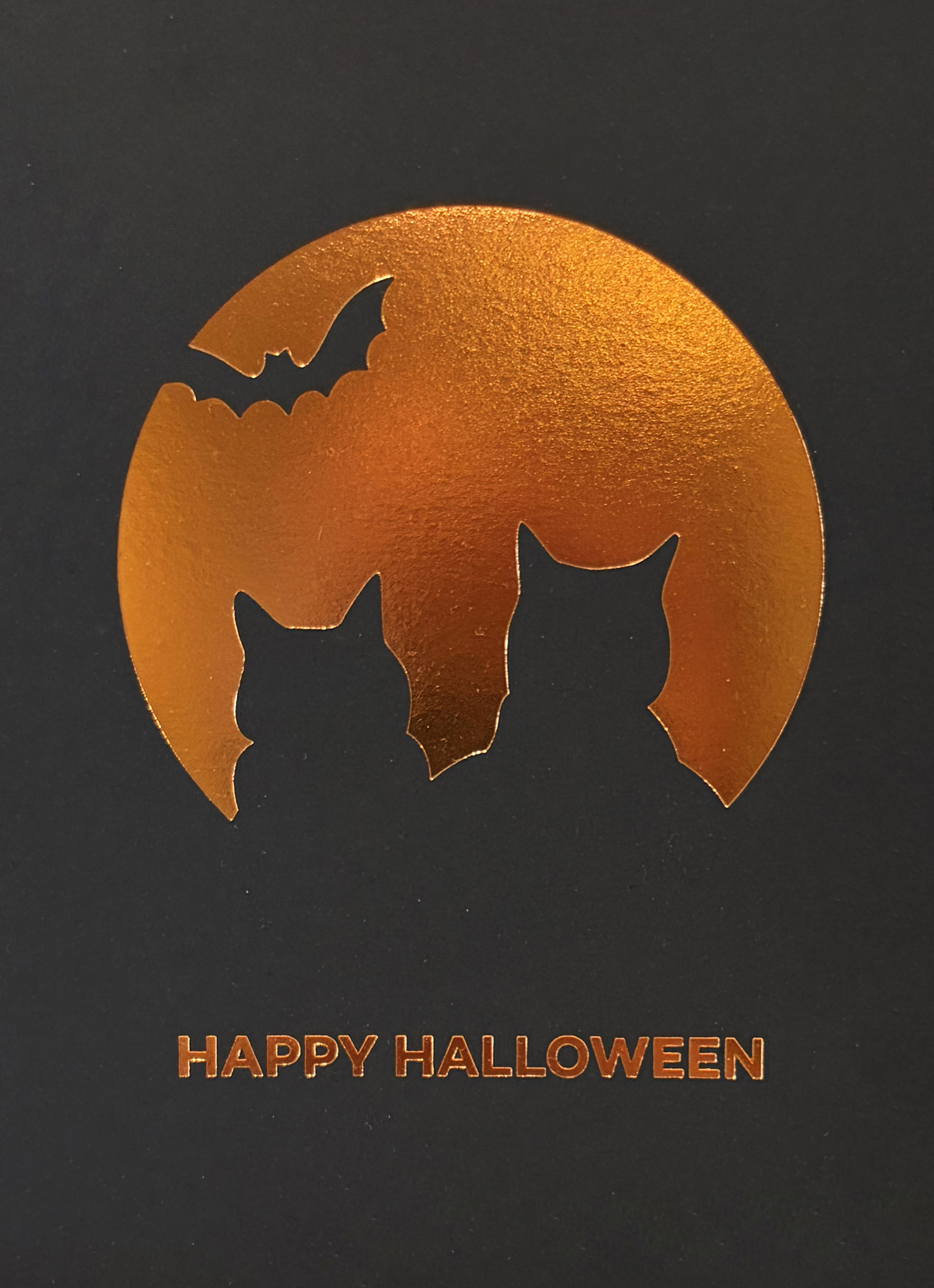 Cats with Moon & Bat